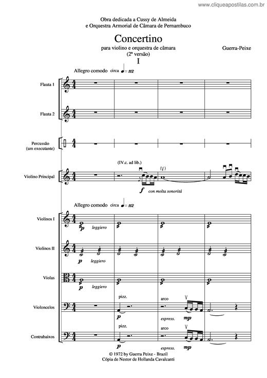 donizetti concertino pdf to excel